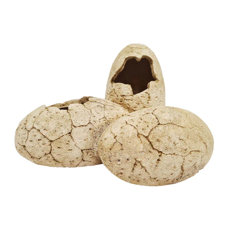 Dinosaur Eggs