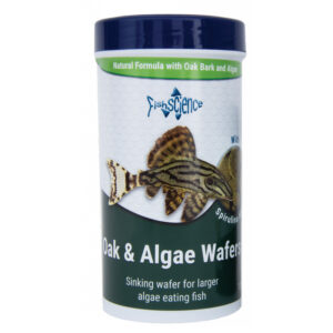 Wafers & Algae