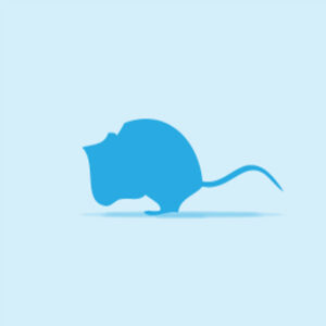 Frozen Mouse Large (26g+)