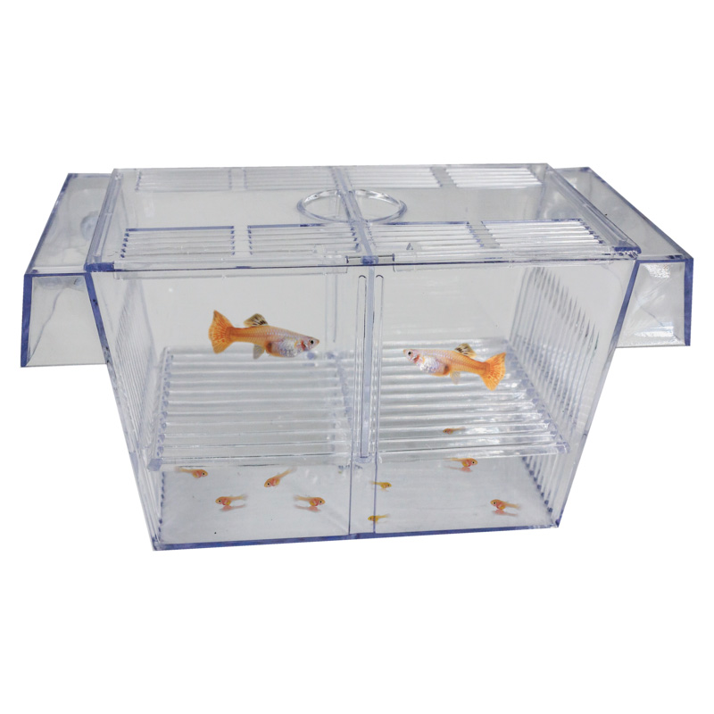 Superfish Breeding Box