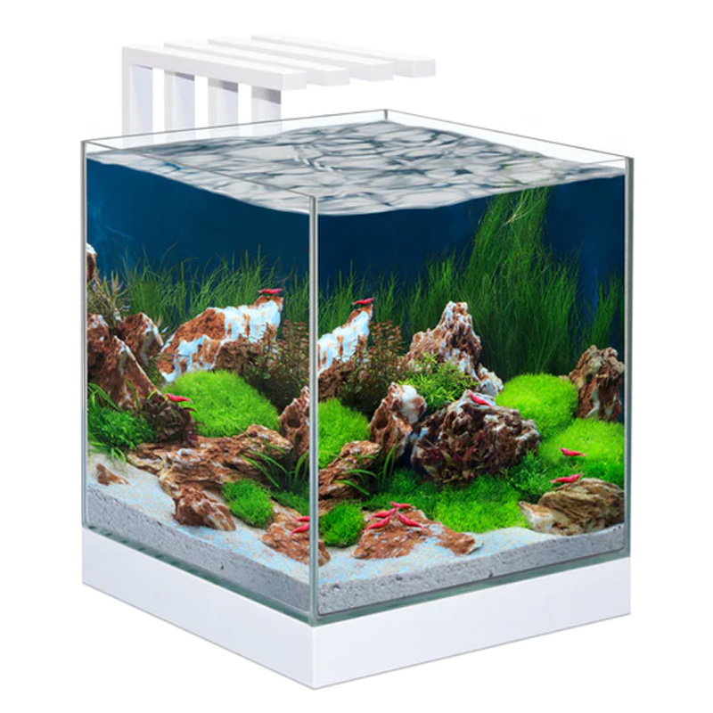 Ciano Nexus Pure 25 Cube LED