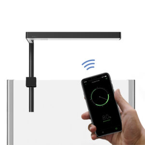 ONF Flat Nano+