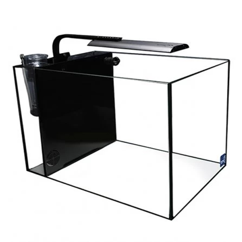 The Complete Small Footprint Cold Water Goldfish Aquarium Sizes Gallery ...