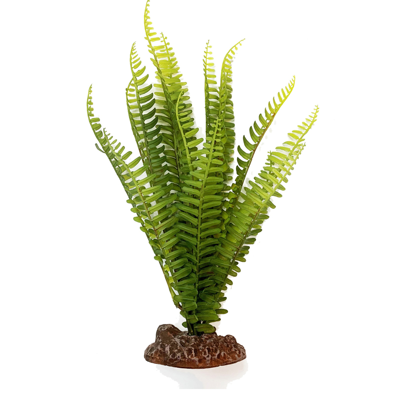 Terra Shuttlecock Fern 31cm